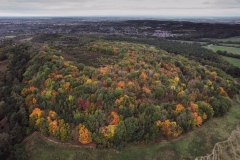 DJI_0055