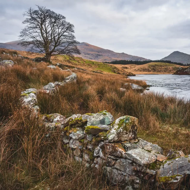 Lines Written in Stone